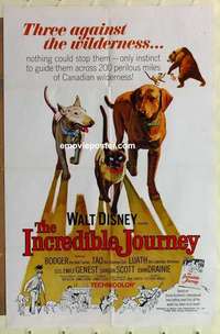 p069 INCREDIBLE JOURNEY one-sheet movie poster '63 Walt Disney animals!