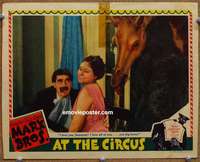 w416 AT THE CIRCUS movie lobby card '39 classic Groucho romancing!