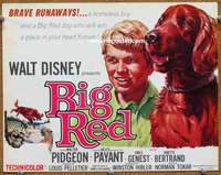 w076 BIG RED movie title lobby card '62 Walt Disney, Pigeon, Irish Setter!