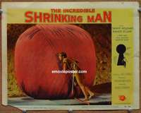 w814 INCREDIBLE SHRINKING MAN movie lobby card #7 '57 giant yarn ball!