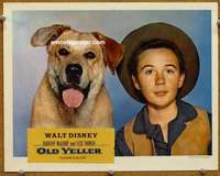 w995 OLD YELLER movie lobby card R65 great close up of classic canine!