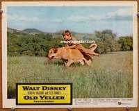 w994 OLD YELLER movie lobby card '57 best image of classic canine!