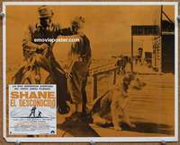 y163 SHANE Mexican movie lobby card '53 Alan Ladd, Brandon De Wilde