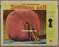 z520 INCREDIBLE SHRINKING MAN movie lobby card #7 '57 giant yarn ball!