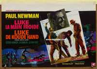 f017 COOL HAND LUKE Belgian movie poster '67 Paul Newman classic!