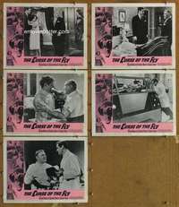 p739 CURSE OF THE FLY 5 movie lobby cards '65 Brian Donlevy, Baker