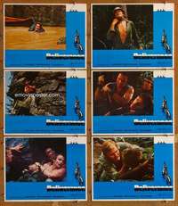 p627 DELIVERANCE 6 movie lobby cards '72 Jon Voight, Burt Reynolds