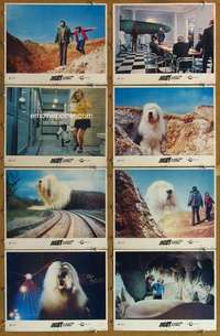 p173 DIGBY THE BIGGEST DOG IN THE WORLD 8 movie lobby cards '74