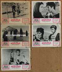 p745 ELECTRA 5 movie lobby cards '62 Euripides, Greek, Irene Papas