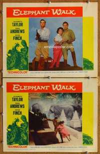 p982 ELEPHANT WALK 2 movie lobby cards '54 Elizabeth Taylor, Finch