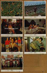 p584 SUNFLOWER 7 movie lobby cards '70 Vittorio De Sica, Sophia Loren