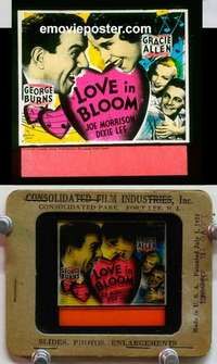 w039 LOVE IN BLOOM magic lantern movie glass slide '35 Burns & Gracie Allen!
