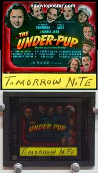 w176 UNDER PUP magic lantern movie glass slide '39 Bob Cummings, Nan Grey