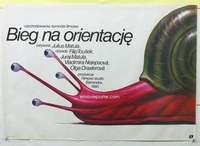 c284 MUZ NA DRATE Polish 26x38 movie poster '86 Walkuski snail art!