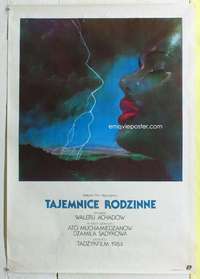 c295 SEMEYNYE TAYNY Polish 26x38 movie poster '84 romantic Oblucki art!