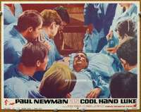 f394 COOL HAND LUKE movie lobby card #5 '67 Paul Newman ate 50 eggs!