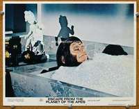 f450 ESCAPE FROM THE PLANET OF THE APES movie lobby card #5 '71 Hunter