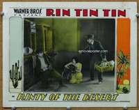 f836 RINTY OF THE DESERT movie lobby card '28 Rin Tin Tin in image!