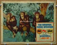 f898 STOP LOOK & LAUGH movie lobby card '60 The Three Chimps!