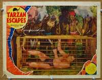 f918 TARZAN ESCAPES movie lobby card '36 Johnny Weissmuller in cage!