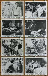 m081 NIGHT OF THE IGUANA 8 English Front of House lobby cards '64 Gardner