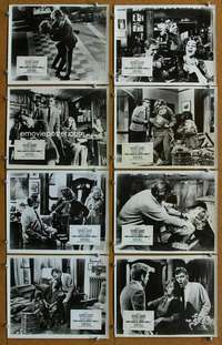 m067 WHO'S AFRAID OF VIRGINIA WOOLF 8 English Front of House lobby cards '66