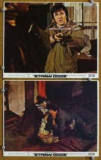 m311 STRAW DOGS 2 color 8