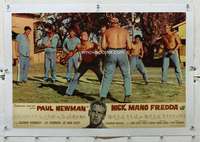 n182 COOL HAND LUKE linen Italian photobusta movie poster '67 Newman