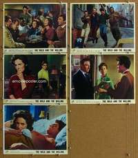 q540 YOUNG & WILLING 5 English movie lobby cards '64 1st Sam Eggar