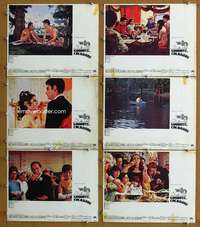 q474 GOODBYE COLUMBUS 6 movie lobby cards '69 Ali MacGraw, Benjamin