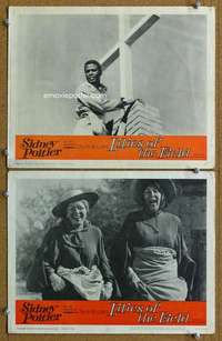 q921 LILIES OF THE FIELD 2 movie lobby cards '63 Sidney Poitier