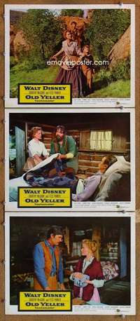 q752 OLD YELLER 3 movie lobby cards '57 most classic Disney canine!