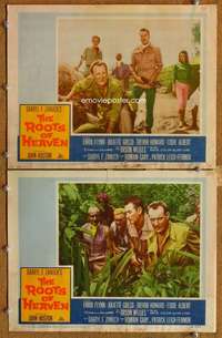 q955 ROOTS OF HEAVEN 2 movie lobby cards '58 Errol Flynn, Julie Greco