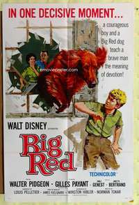 s058 BIG RED one-sheet movie poster '62 Disney, Pigeon, Irish Setter!