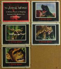 t168 ANIMAL WORLD 5 movie lobby cards '56 great wild animal images!