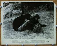 z539 BIGFOOT 8x10 movie still '71 bear attacks bigfoot!