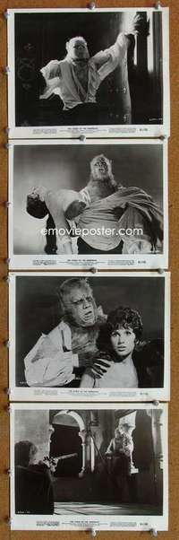 z180 CURSE OF THE WEREWOLF 9 8x10 movie stills '61 Oliver Reed, Hammer