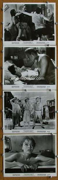z208 DAY THE EARTH CAUGHT FIRE 8 8x10 movie stills '62 Janet Munro