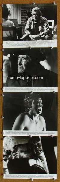 z126 HOWLING 11 8x10 movie stills '81 Dante, cool werewolf image!