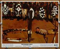 z598 NAKED PREY color 8x10 movie still '65 Cornel Wilde in Africa!