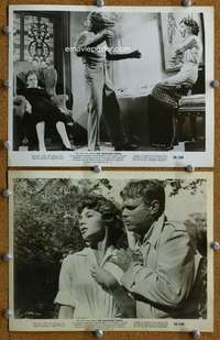 a645 ALLIGATOR PEOPLE 2 8x10 movie stills '59 Beverly Garland, Chaney