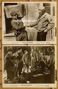 a836 HELL IS FOR HEROES 2 8x10 movie stills '62 Fess Parker, Darin
