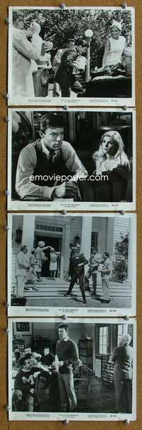 a322 JOY IN THE MORNING 4 8x10 movie stills '65 Chamberlain, Mimeux