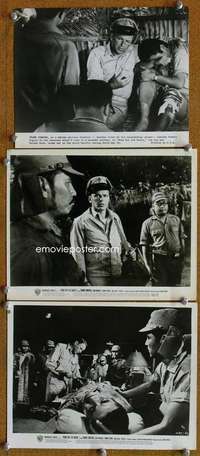 a604 NONE BUT THE BRAVE 3 8x10 movie stills '65 Frank Sinatra, WWII!