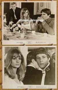 a968 PRIVILEGE 2 8x10 movie stills '67 Jean Shrimpton, Paul Jones