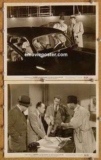 a973 PUSHOVER 2 8x10 movie stills '54 Fred MacMurray film-noir!