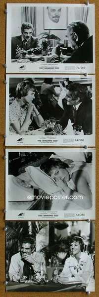 a449 TAMARIND SEED 4 8x10 movie stills '74 Julie Andrews, Omar Sharif