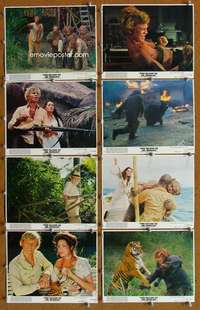 a059 ISLAND OF DR MOREAU 8 8x10 mini movie lobby cards '77