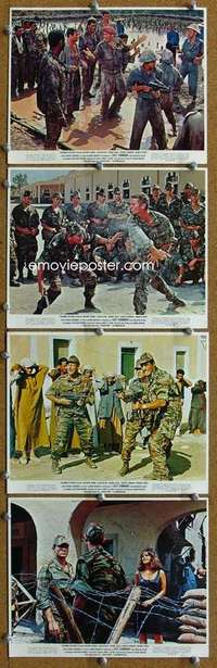 a357 LOST COMMAND 4 color 8x10 movie stills '66 Anthony Quinn, Delon