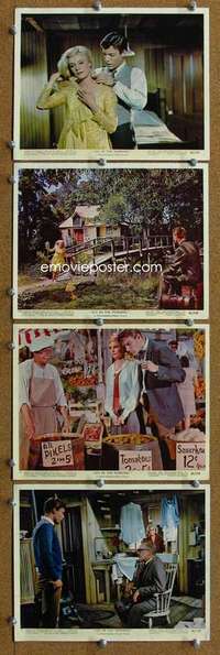 a323 JOY IN THE MORNING 4 Eng/US color 8x10 movie stills '65 Mimeux